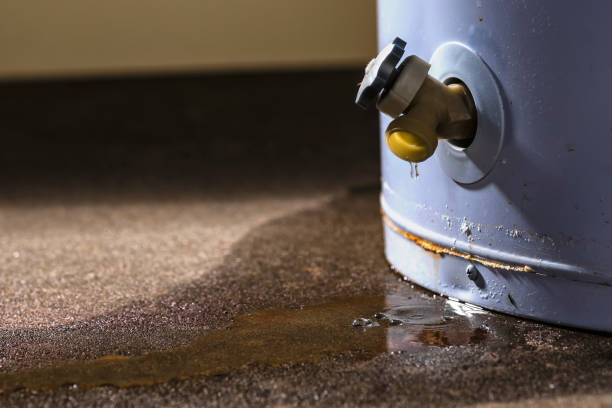Best Flood damage cleanup  in Lyles, TN