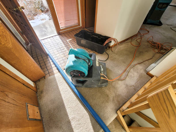 Best Commercial water damage restoration  in Lyles, TN