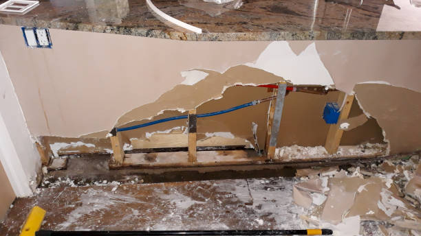 Best Basement water damage restoration  in Lyles, TN