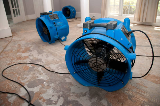 Best Water damage restoration near me  in Lyles, TN