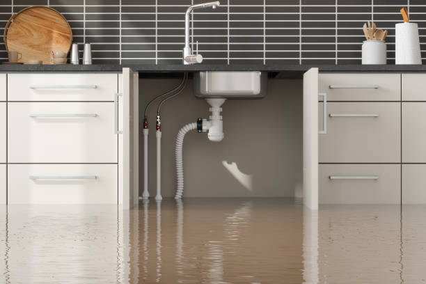 Best 24/7 water damage repair  in Lyles, TN