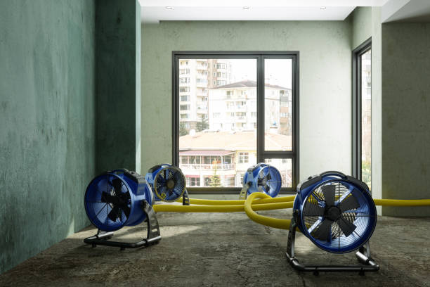 Best Sewage cleanup and water damage restoration  in Lyles, TN