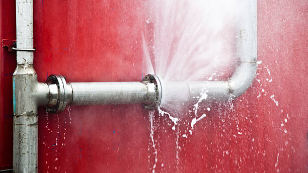 Best Ceiling water damage repair  in Lyles, TN